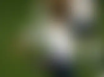 Cristiano Ronaldo's son begins training trial with Real Madrid