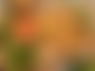 Vietnamese fried spring rolls cha gio