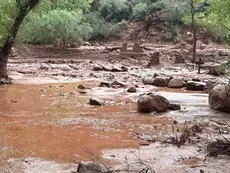 Remnants of stone bridge pylons along Bright Angel Creek at the Grand Canyon National Park following a flash flood that destroyed the footbridge on August 29, 2026