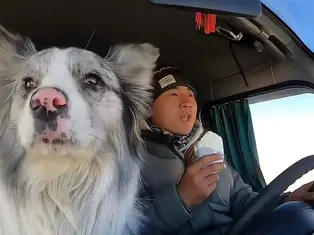 Chinese travel influencer Guo and his border collie Chutou amassed 1.5 million followers on Chinese social media
