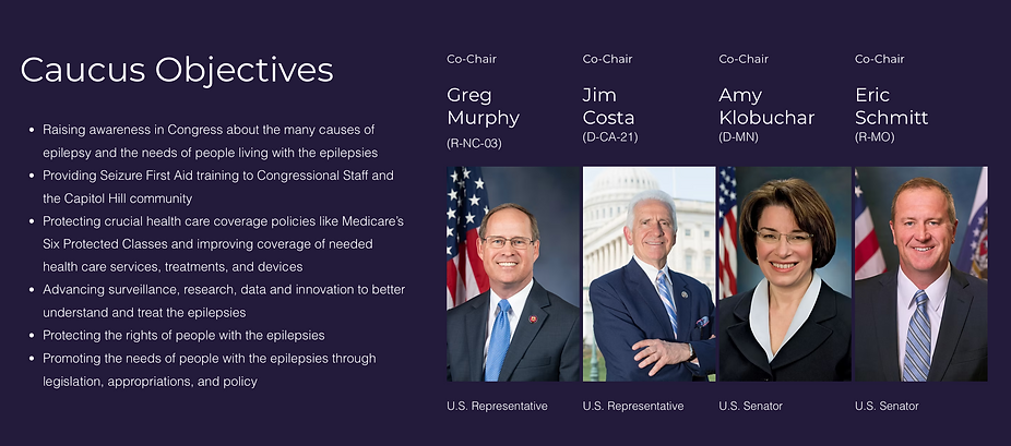 Epilepsy Caucus Overview