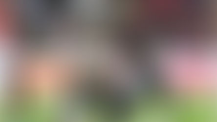 JULIO GONZÁLEZ LAVA SU OSO Y CON UN GOL SUYO PUMAS RESCATA UN PUNTO EN EL INFIERNO