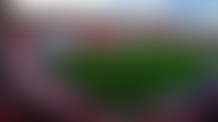 ESTADIO VICTORIA APROBADO PARA RECIBIR UN 75% DE SU CAPACIDAD