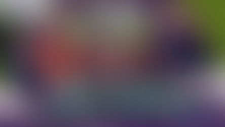 BARCELONA CAMPEONAS DE LA UEFA CHAMPIONS LEAGUE