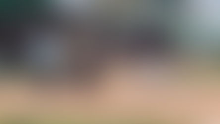 PRETEMPORADA: RIELEROS SE IMPONE A MARIACHIS EN JALPA, ZACATECAS