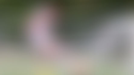 TIGRES SE IMPONE A LOS RAYOS EN LAS CATEGORÍAS SUB 20 Y SUB 18.