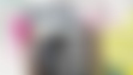 LAS VENDIMIAS EN HACIENDA DE LETRAS