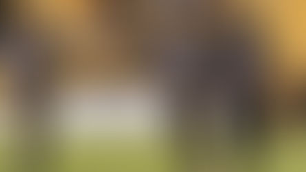 DEFINIDOS LOS CLUBES EN LA LIGA DE EXPANSIÓN MX