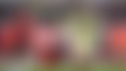 TRAS UNA BATALLA ÉPICA. AMÉRICA VUELA A LA FINAL