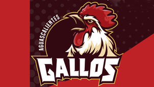 ESTE VIERNES ANUNCIARÁN EL REGRESO DE LOS GALLOS DE AGUASCALIENTES