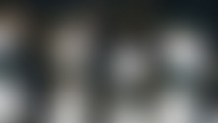 LE DAN DE PALOS A RIELEROS