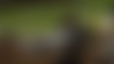 SULTANES SACÓ LA ESCOBA Y BARRIÓ CON RIELEROS