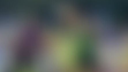 LAS TUZAS DAN LA CAMPANADA Y DEJAN FUERA AL AMÉRICA.