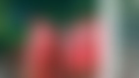 DOBLE TRIUNFO DE LA CANTERA NECAXISTA ANTE AMÉRICA