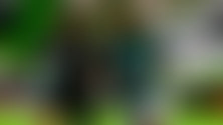 SOBRE EL FINAL LAS CENTELLAS PERDONARON A LA FIERA