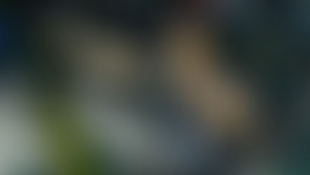 EL CAMPEÓN ESTÁ DE REGRESO