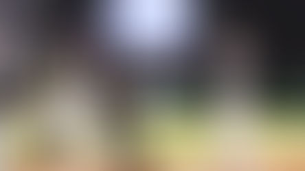 TOROS LE PEGA FAENA EN LA DOBLE CARTELERA A RIELEROS