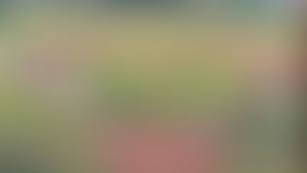 RIELEROS CAE EN EL PRIMERO DE LA SERIE ANTE ALGODONEROS