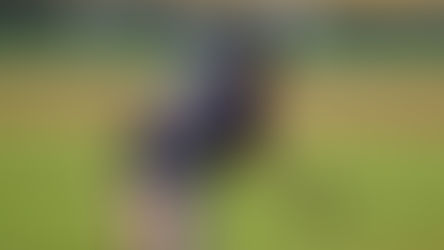 RIELEROS APALEA A UNIÓN LAGUNA Y RESCATA EL DE LA HONRA 