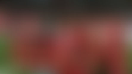 NECAXA LLEGA A GUADALAJARA CON LA URGENCIA SE SUMAR DE A TRES