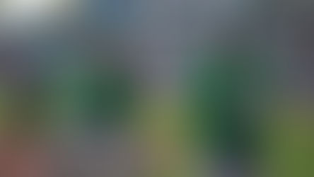 RIELEROS AL BORDE DE LA ELIMINACIÓN ANTE MARIACHIS