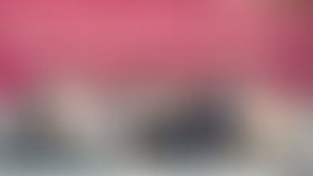 CON ÉXITO CONCLUYE EL TORNEO DE TAEKWONDO DE LA FERIA DE RINCÓN DE ROMOS