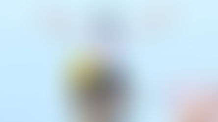 GRAN ESFUERZO DE SU EQUIPO Y POCO BOTÍN PARA TADEJ POGACAR ANTE VINGEGAARD