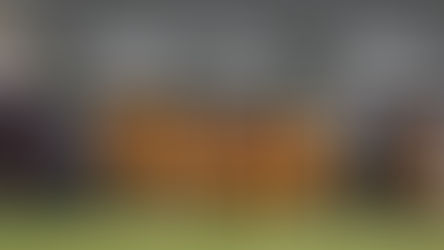 TIGRES SIGUE DOMINANDO LA LIGA