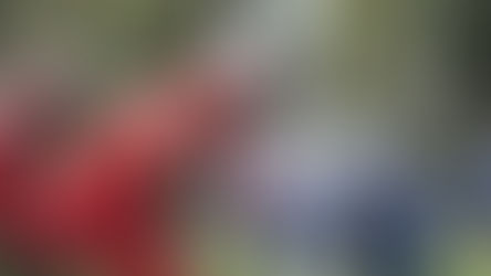 HABRÁ VISORÍAS DE FUTBOL AMERICANO PARA PROSPECTOS  UNIVERSITARIOS