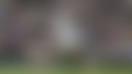 ROGER FEDERER FUERA DEL RANKING ATP, POR PRIMERA VEZ EN 25 AÑOS