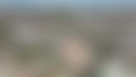 DESTINA TERE JIMÉNEZ 40 MDP PARA LA REHABILITACIÓN INTEGRAL DEL PARQUE ALBERTO ROMO CHÁVEZ