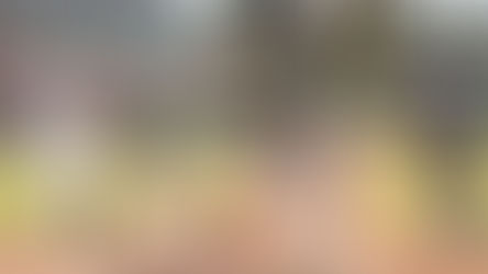 LE LLENAN LA CANASTA A LOS RIELEROS