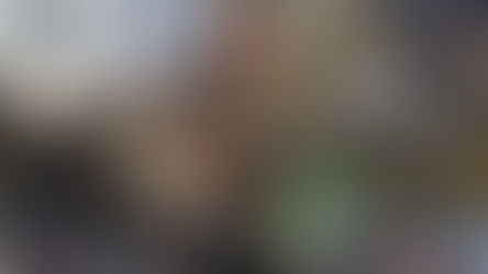 DOMINA PANTERAS A LOS CAMPEONES