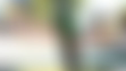 WOUT VAN ALERT GANA LA CRONO PREVIO A LA LLEGADA A PARÍS. VINGEGAARD PRÁCTICAMENTE CAMPEÓN