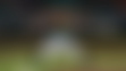 CAMBIO ENTRE RIELEROS Y YUCATÁN