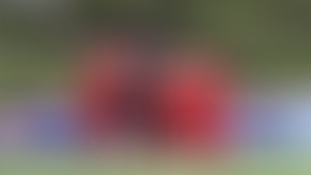 DERROTA Y EMPATE PARA LA CANTERA NECAXISTA ANTE LEÓN.