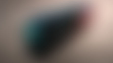 LLEGÓ EL NUEVO "RAYOBUS"