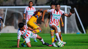 TRIUNFO Y EMPATE PARA LOS JUVENILES DE NECAXA ANTE TIGRES
