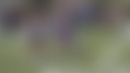 CON EXITO SE CELEBRÓ EL TAZÓN DE LAS CALAVERAS 2023