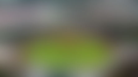 EL ANDÉN ESTRENARÁ MALLA E ILUMINACIÓN