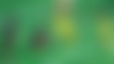 CONTRA LAS CUERDAS EL TRI FEMENIL TRAS CEAR ANTE JAMAICA EN EL INICIO DEL PREMUNDIAL