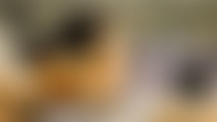 CONCLUYÓ EL XI TORNEO DE TIRO CON ARCO DE CALAVERAS