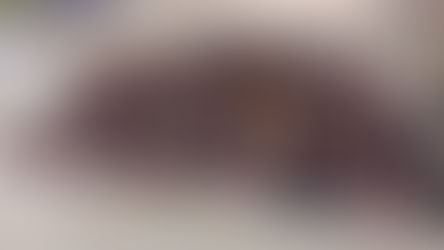 CERCA DE MIL BENEFICIADOS EN EL ARRANQUE DE BUENA BOLA Y TAEKWONDO