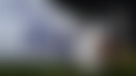 YA HAY FECHA PARA EL INICIO DE LIGA MX