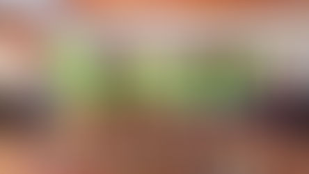 TODO LISTO PARA EL FESTIVAL NACIONAL INFANTIL Y JUVENIL DE VOLEIBOL