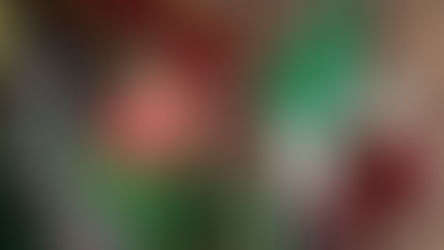 EN UN AMBIENTE FESTIVO, TERE JIMÉNEZ CELEBRA EL GRITO DE INDEPENDENCIA JUNTO A MILES DE FAMILIAS EN AGUASCALIENTES