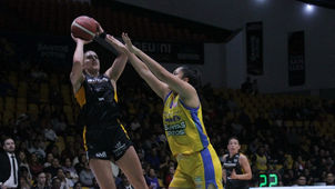 BARRIERON A PANTERAS EN SAN LUIS