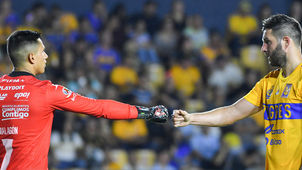 NO SE HACEN DAÑO EN EL VOLCÁN