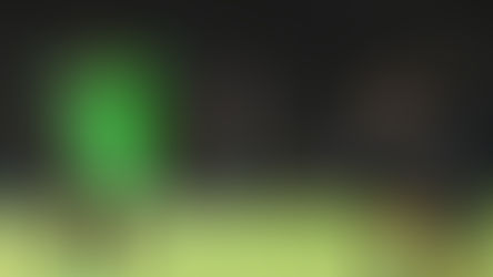 GOLEARON A CENTELLAS EN LA FRONTERA