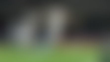 ¡QUE SE CUIDE EL AMÉRICA! PUMAS GOLEA Y ESTÁ EN CUARTOS DE CONCACHAMPIONS